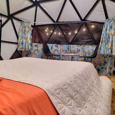 Hotel Boruka Bnb Alajuela Zewnętrze zdjęcie