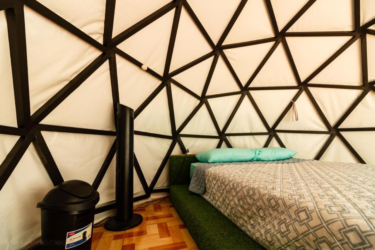 Hotel Boruka Bnb Alajuela Zewnętrze zdjęcie