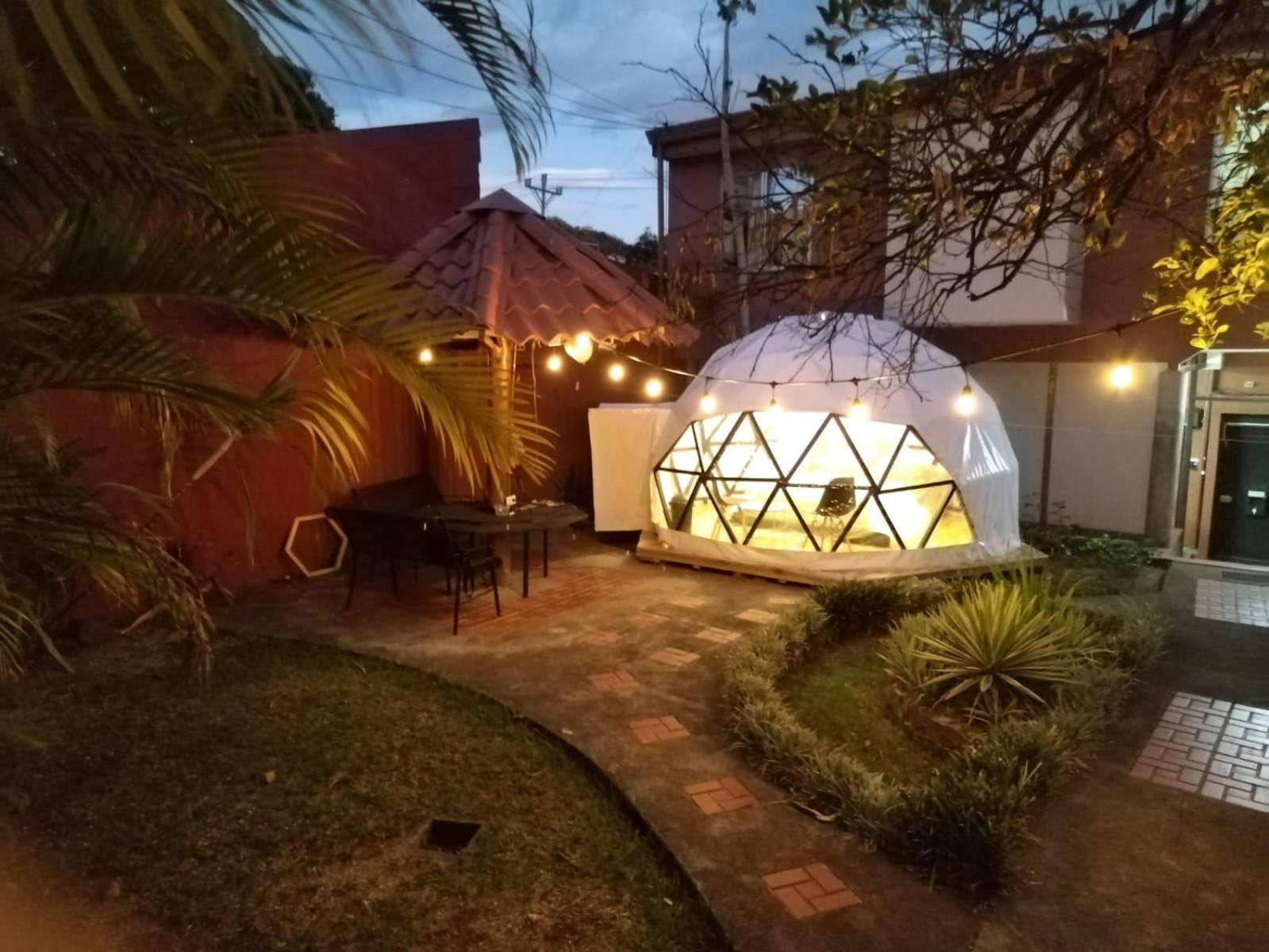 Hotel Boruka Bnb Alajuela Zewnętrze zdjęcie